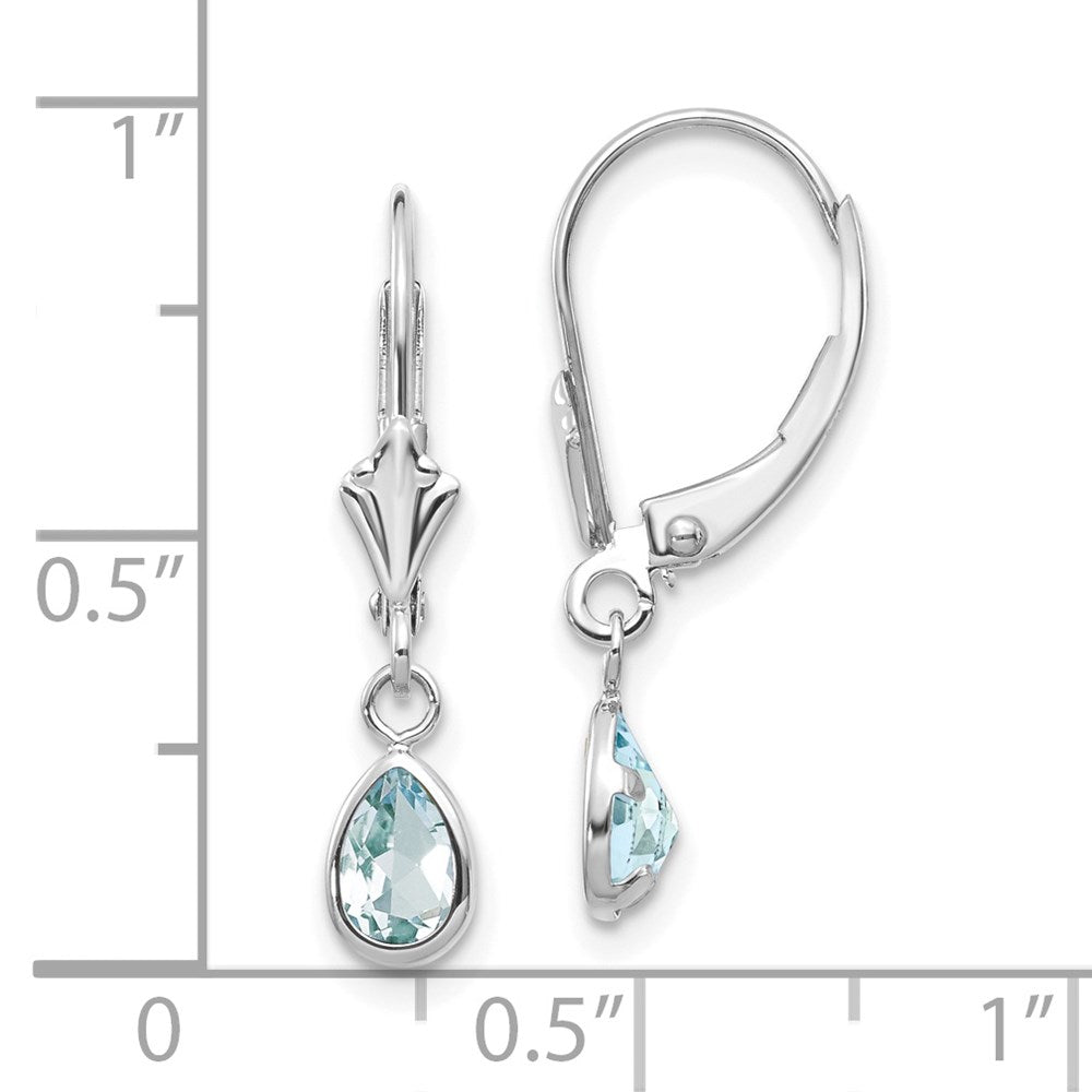 14k White Gold 6x4mm Aquamarine/March Earrings