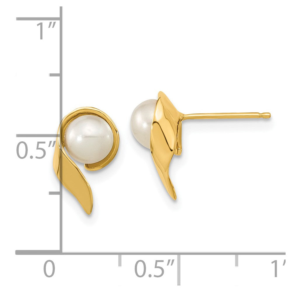 14k 5-6mm White Button Freshwater Cultured Pearl Post Earrings
