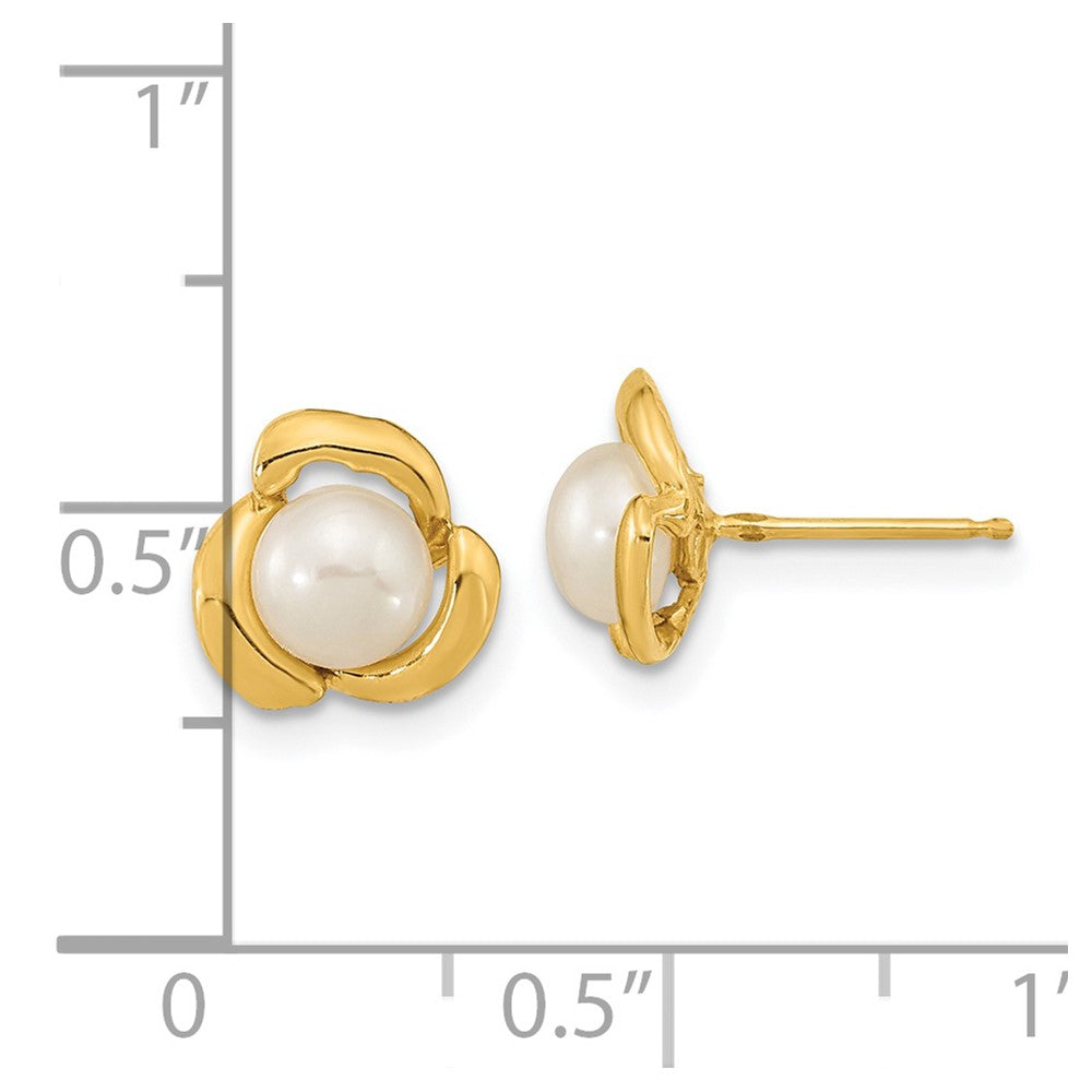 14k 5-6mm White Button Freshwater Cultured Pearl Post Earrings