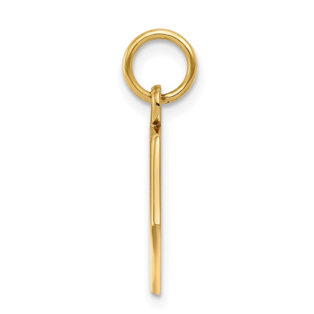 14k Red Enamel Medical Jewelry Pendant