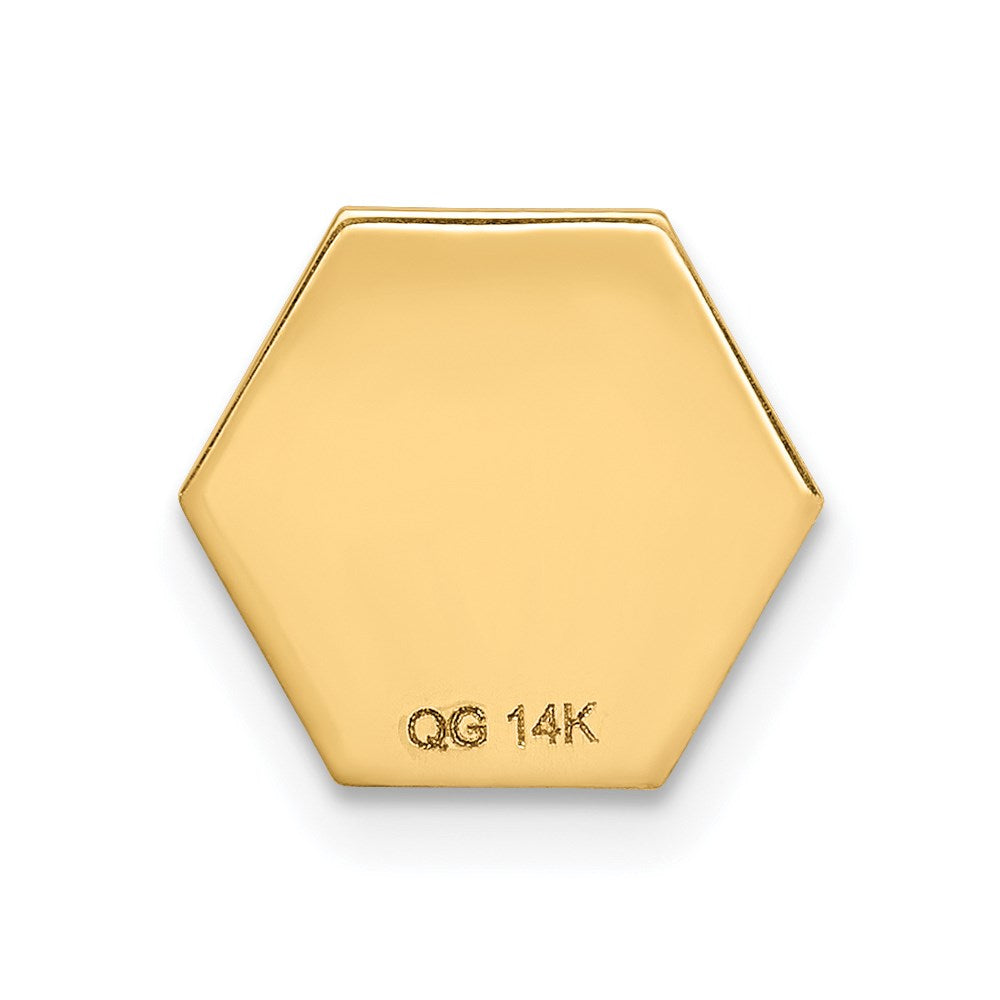 14k Non-enameled Attachable Medical Emblem Charm