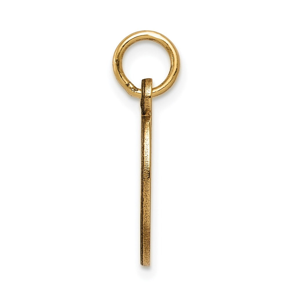 14k Non-enameled Medical Jewelry Pendant