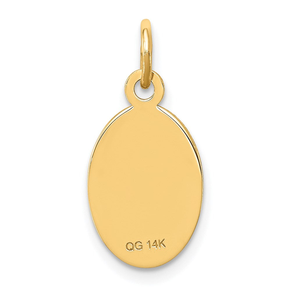 14k Non-enameled Medical Jewelry Pendant