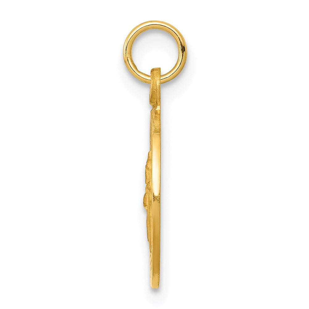 14k Saint Patrick Medal Charm