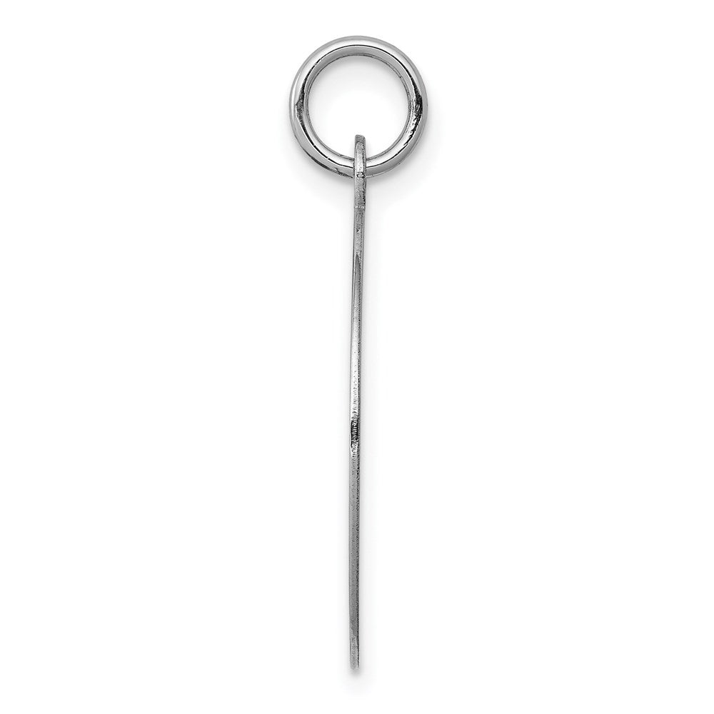 14k White Gold Plain .011 Gauge Round Engravable Disc Charm