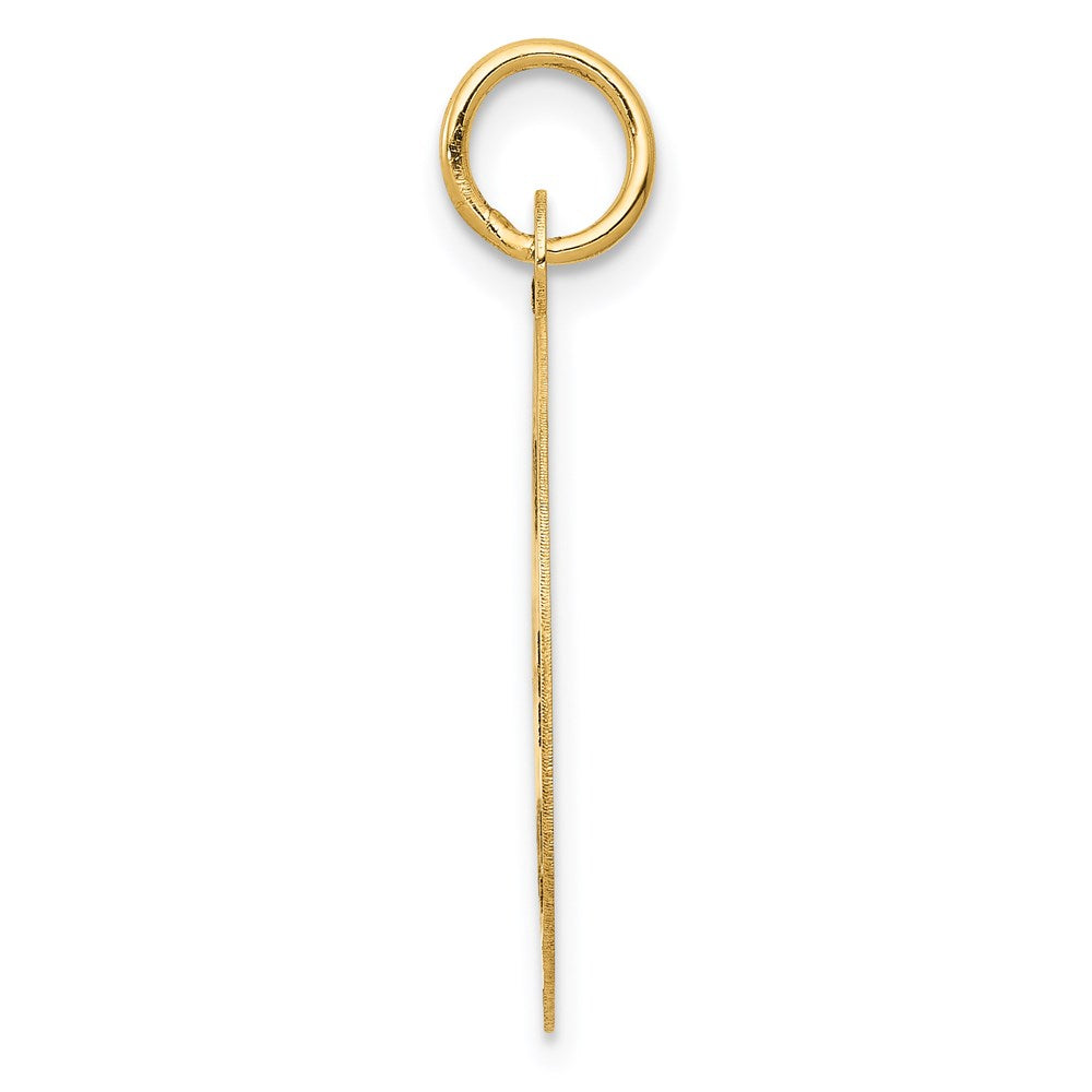 14k Medium PARAMEDIC Medical Pendant