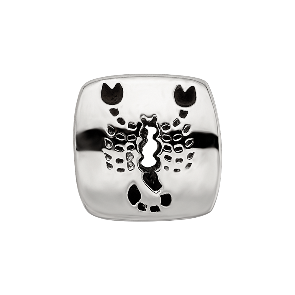 Sterling Silver Reflections Scorpio Zodiac Antiqued Bead