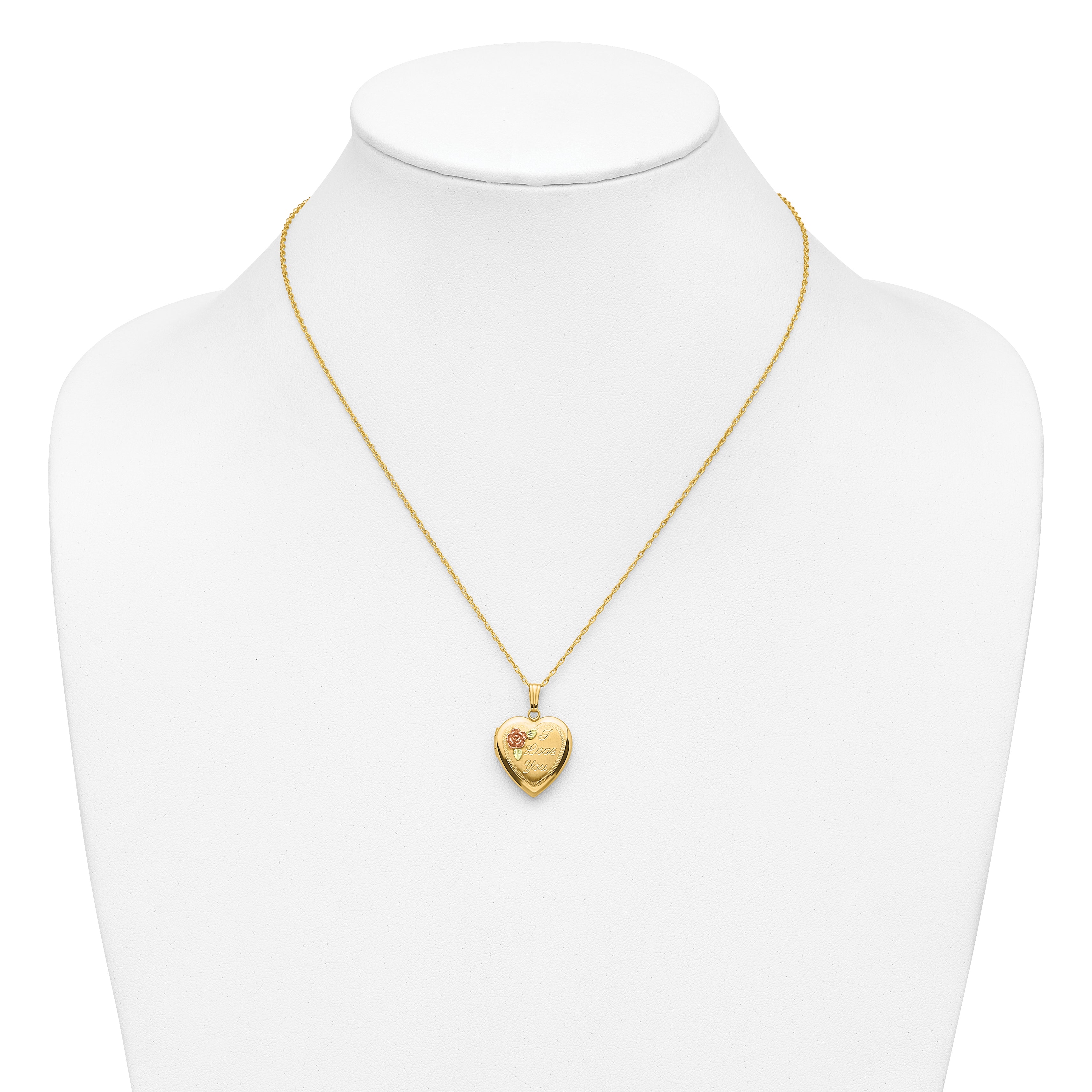 10k w/ 12k Accents and 14k Gold-filled Chain Black Hills Locket