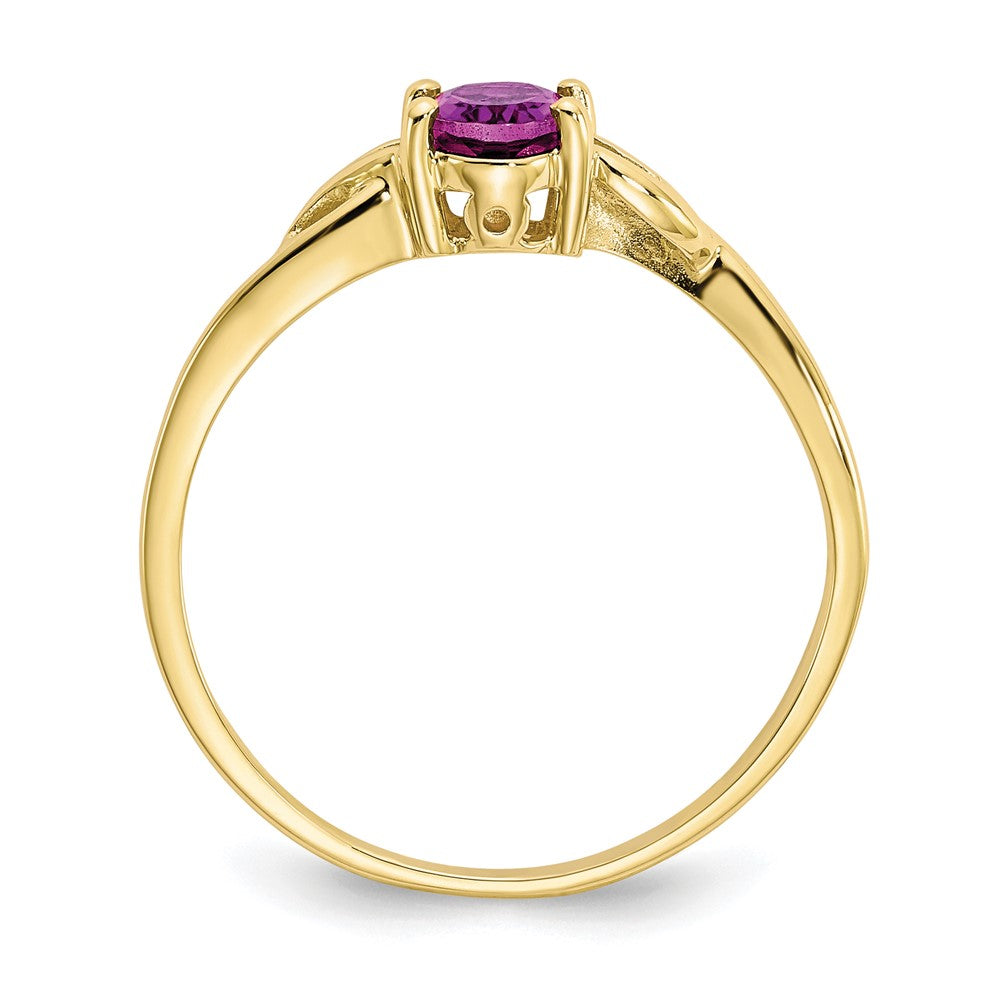 10k Polished Genuine Rhodolite Garnet Birthstone Ring