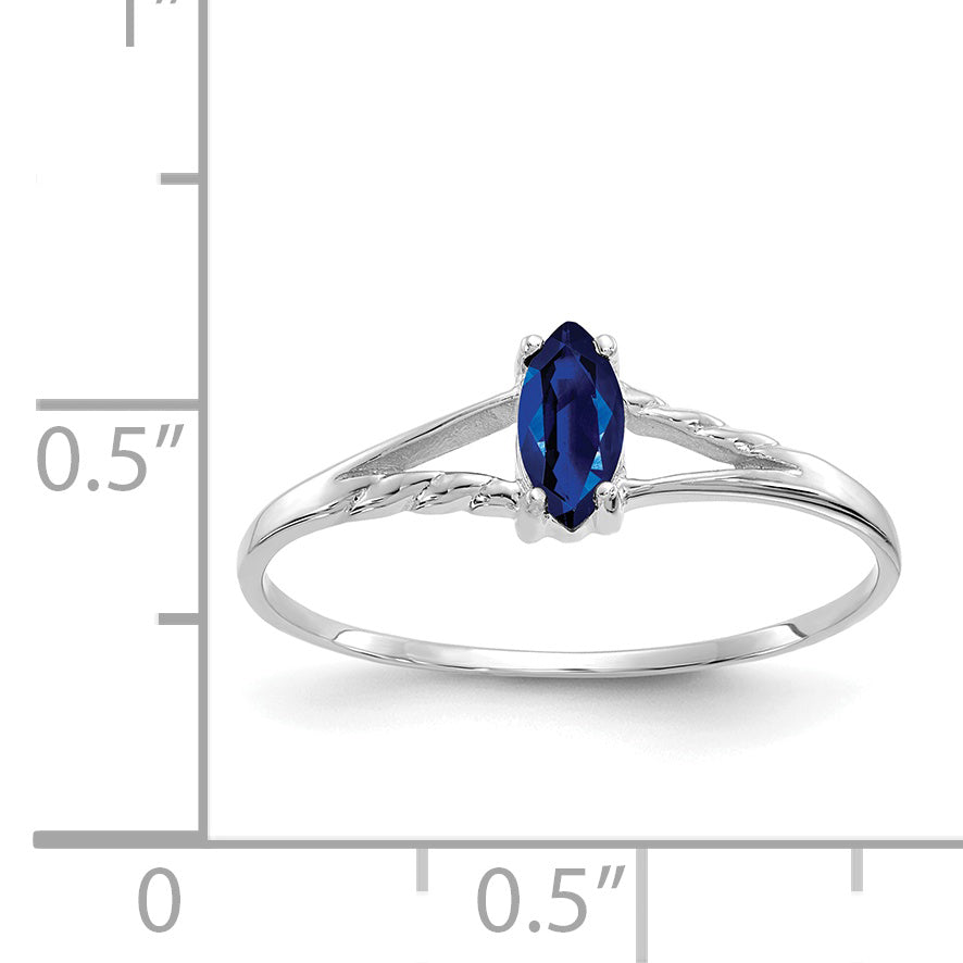 10k White Gold Polished Genuine Sapphire Birthstone Ring