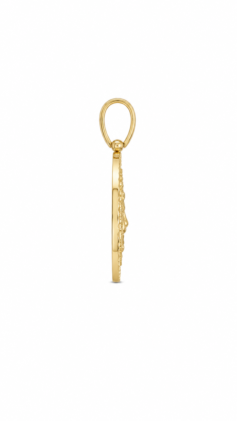 14KT Yellow Gold Lion Round Pendant [A4B3]