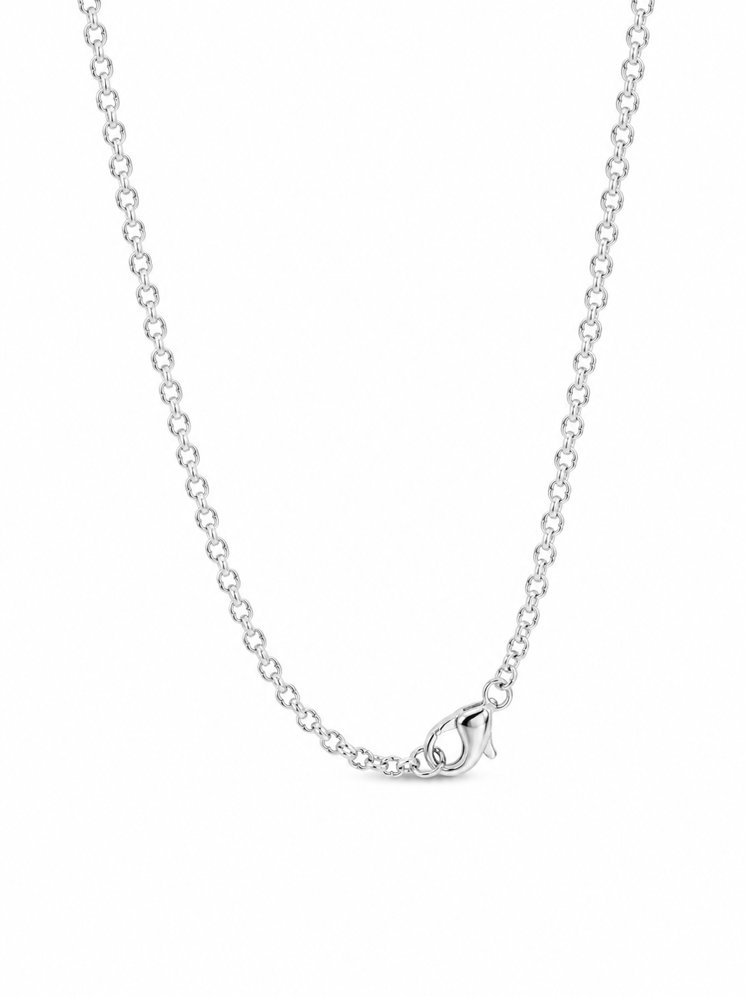 Stainless Steel Wishbone Necklace