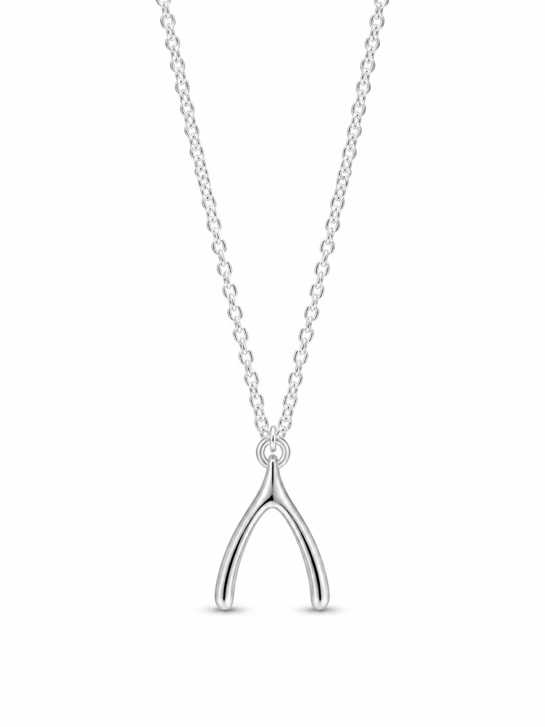 Stainless Steel Wishbone Necklace
