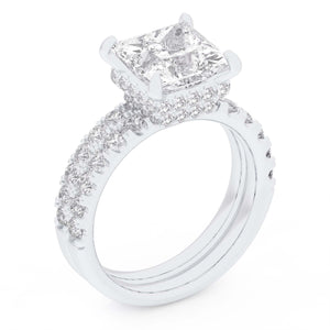 Descriptive image text