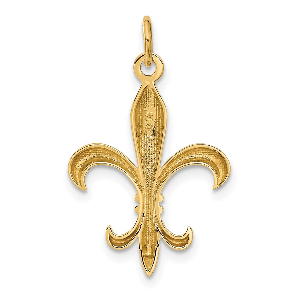 14k Hollow Fleur De Lis Charm