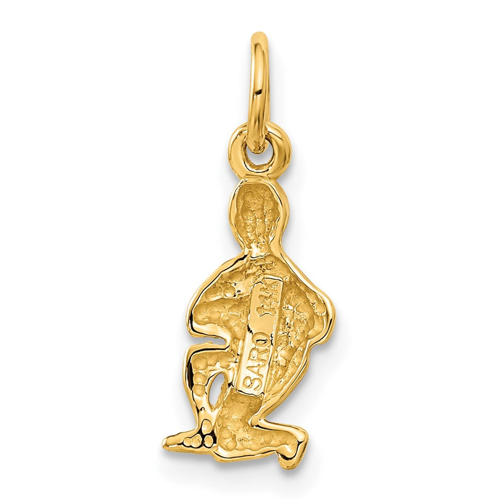 14k Satin Diamond-cut Aquarius Zodiac Charm