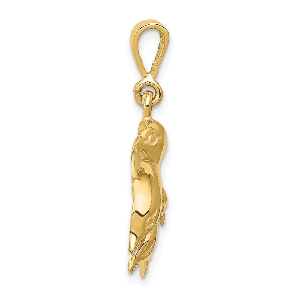 14k Dolphin Charm