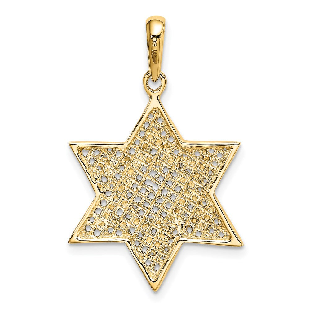 14K w/Rhodium Solid Mesh Star Of David Charm