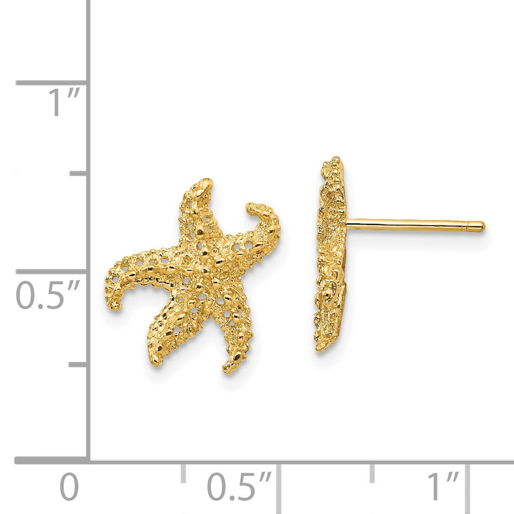 14k Starfish Earrings