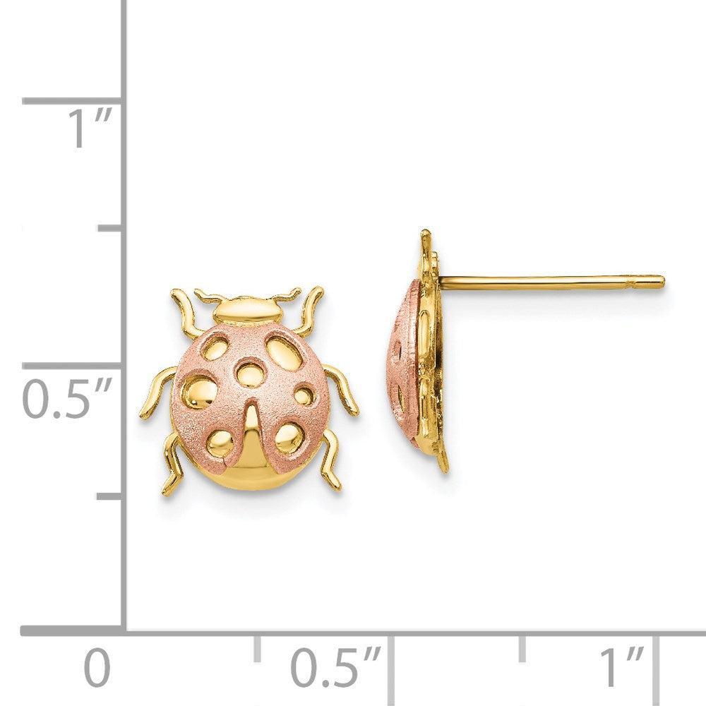 14k Two-Tone Ladybug Post Earrings