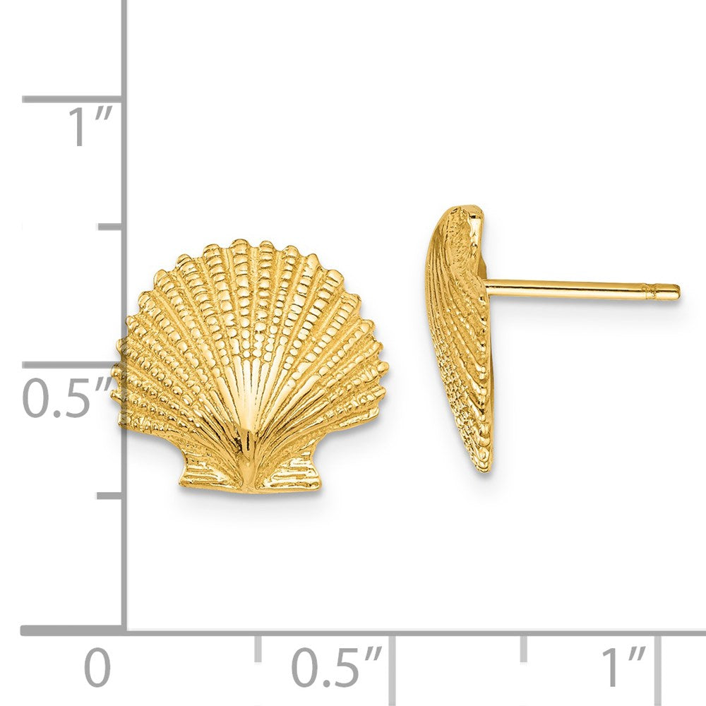 14K Scallop Shell Post Earrings