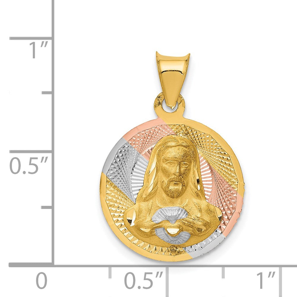 14K w/Rose and White Rhodium D/C Sagrado Corazon Pendant