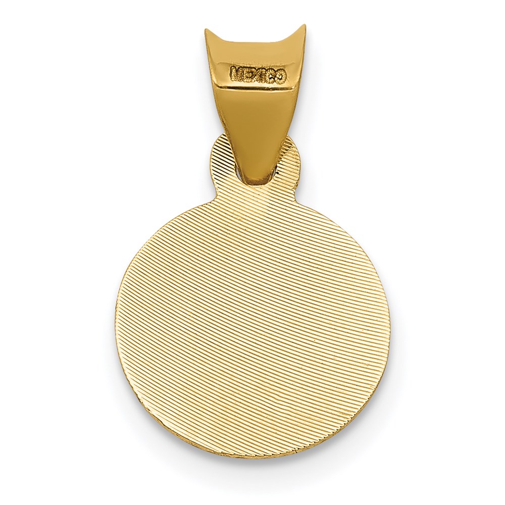 14K w/Rhodium Polished D/C Lady Of Guadalupe Circle Pendant