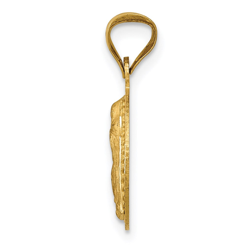 14K w/Rhodium Polished D/C Lady Of Guadalupe Circle Pendant