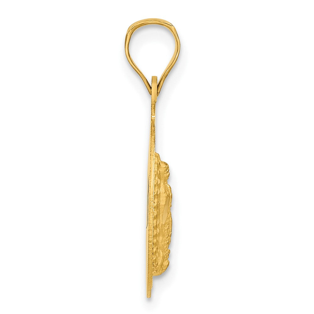 14K Polished D/C Lady Of Guadalupe Circle Pendant