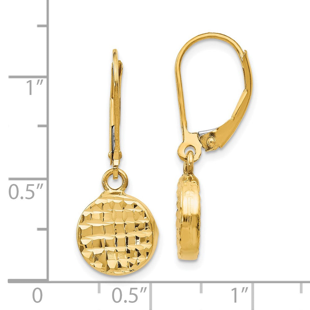 14K Polished D/C Leverback Earrings