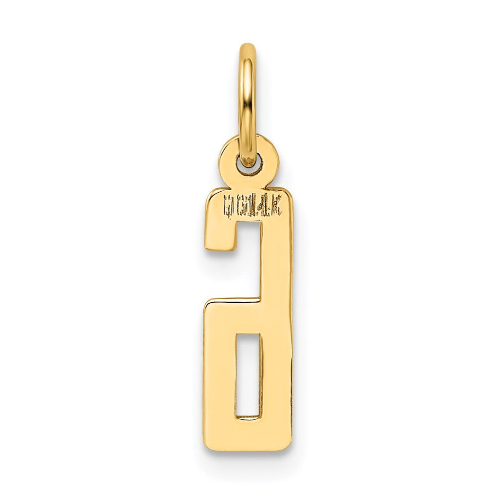 14k Small Elongated Number 6 Charm