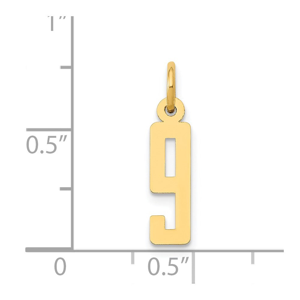 14k Small Elongated Number 9 Charm