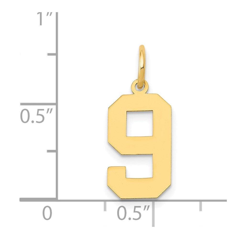 14k Medium Polished Number 9 Charm
