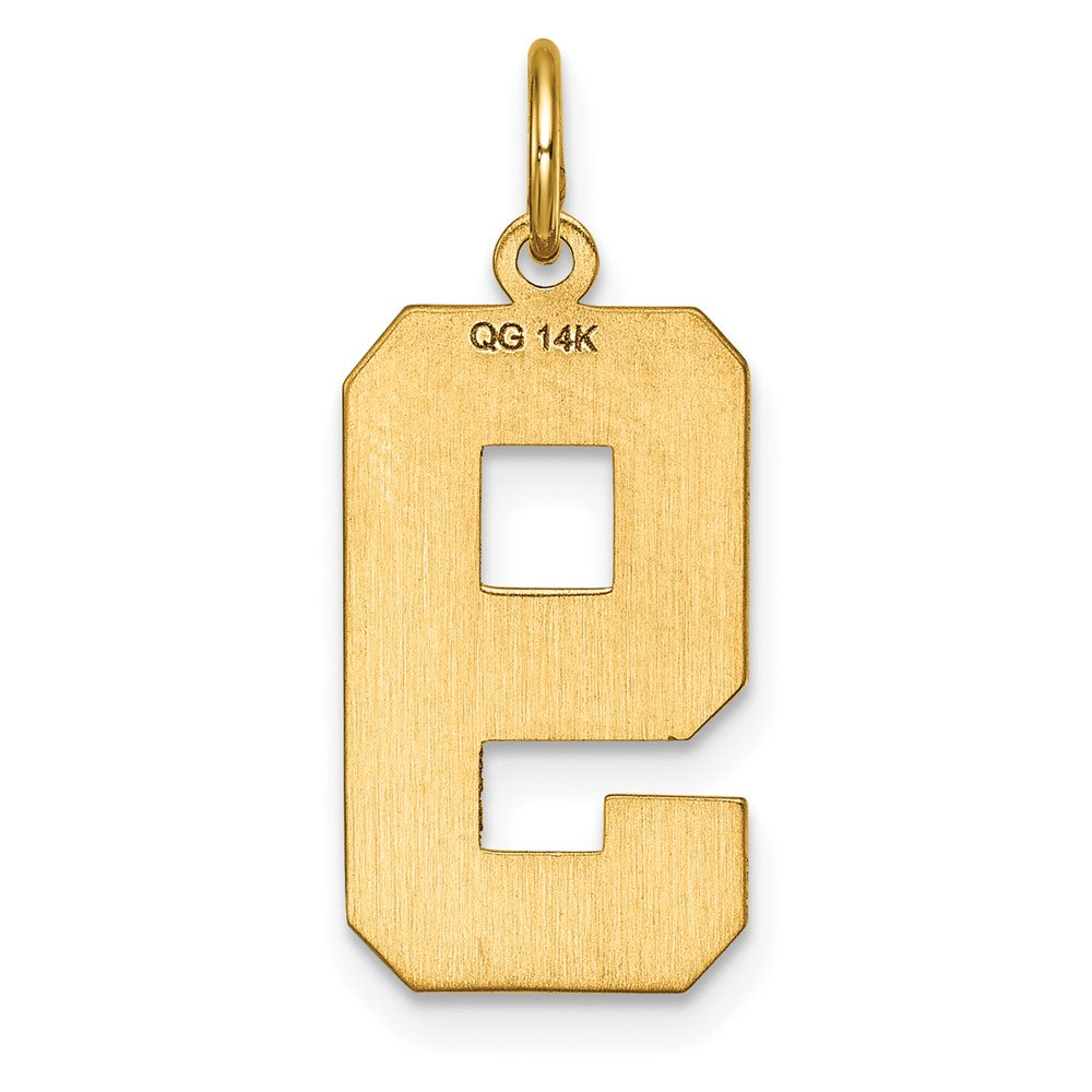 14k Large Brushed Diamond-cut  Number 9 Charm