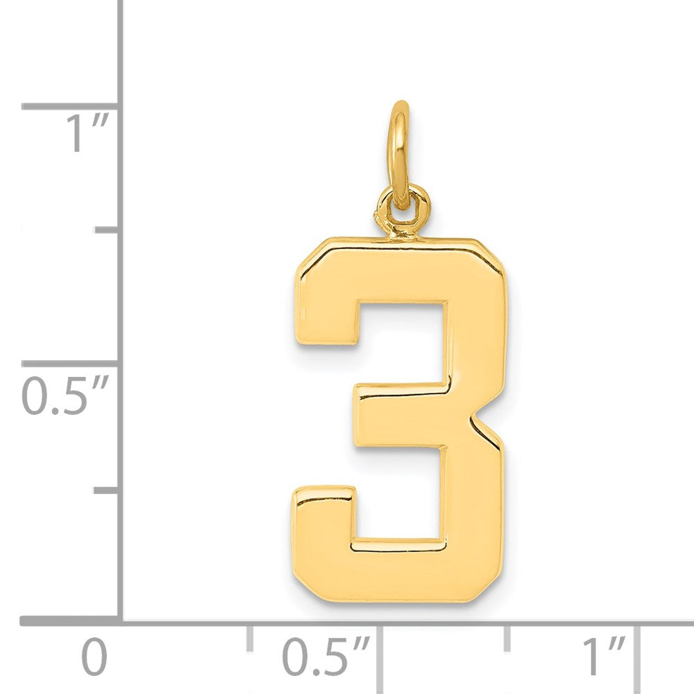 14k Large Polished Number 3 Charm