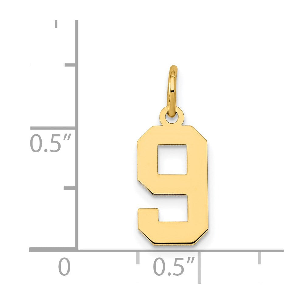 14k Small Polished Number 9 Charm
