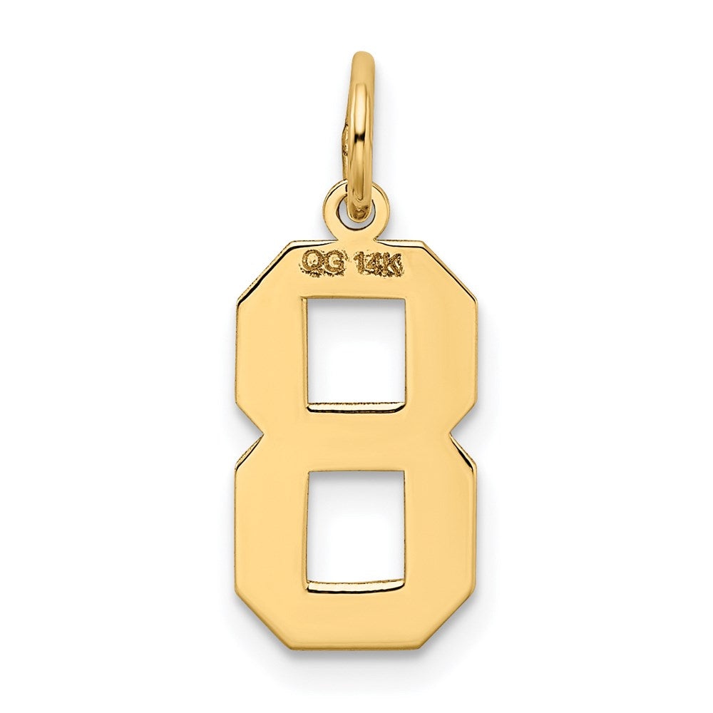 14k Medium Satin Number 8 Charm