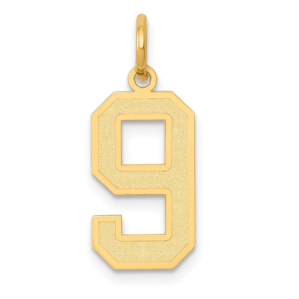 14k Medium Satin Number 9 Charm