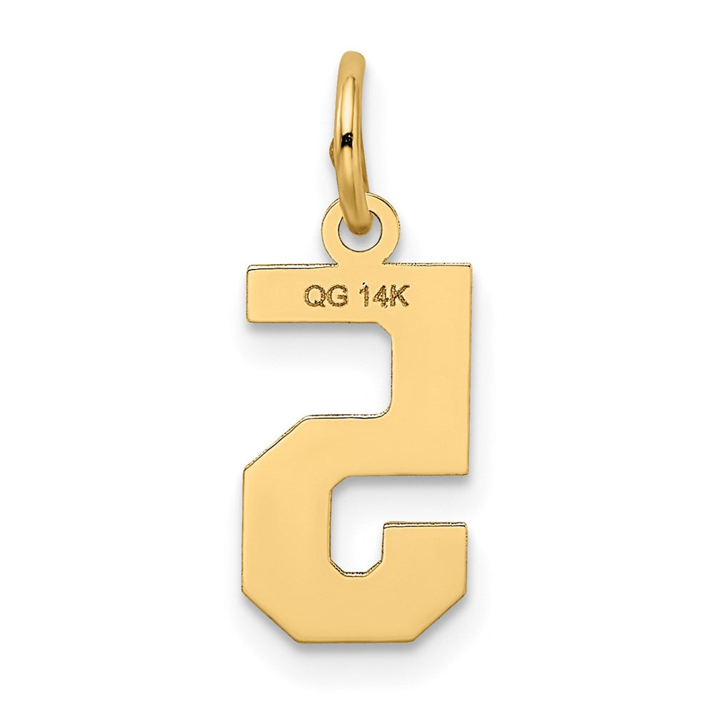 14k Small Satin Number 5 Charm