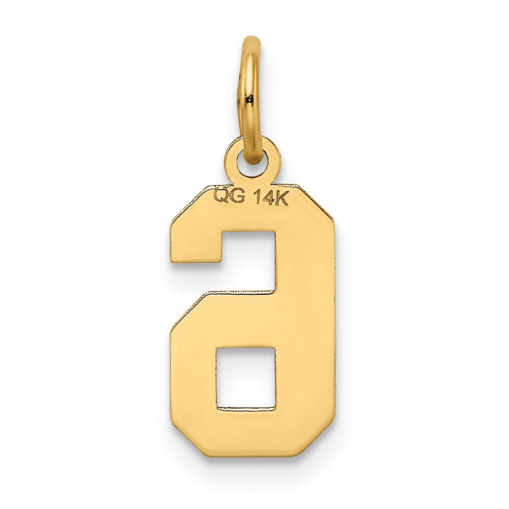 14k Small Satin Number 6 Charm