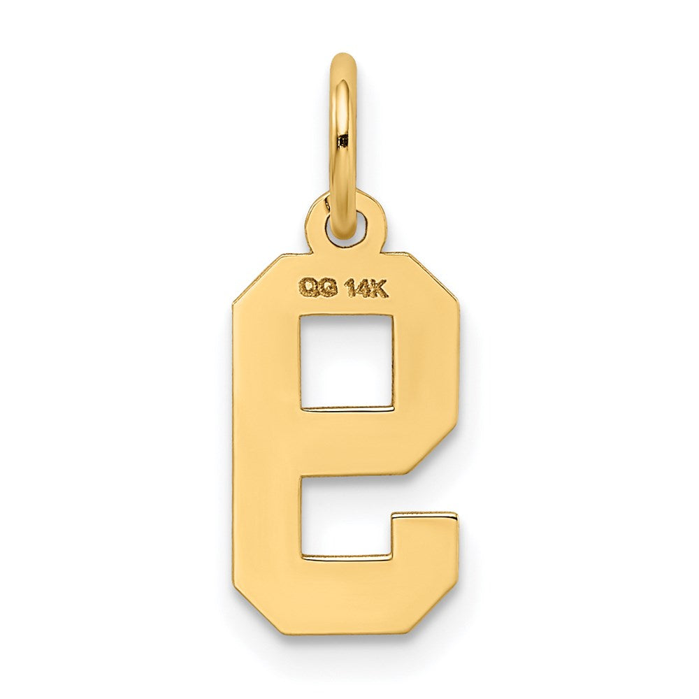 14k Small Satin Number 9 Charm