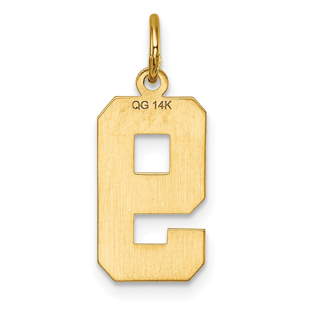14k Medium Diamond-cut Number 9 Charm