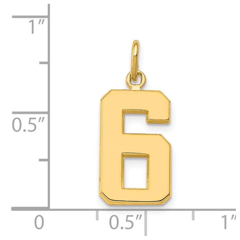 14k Medium Polished Number 6 Charm