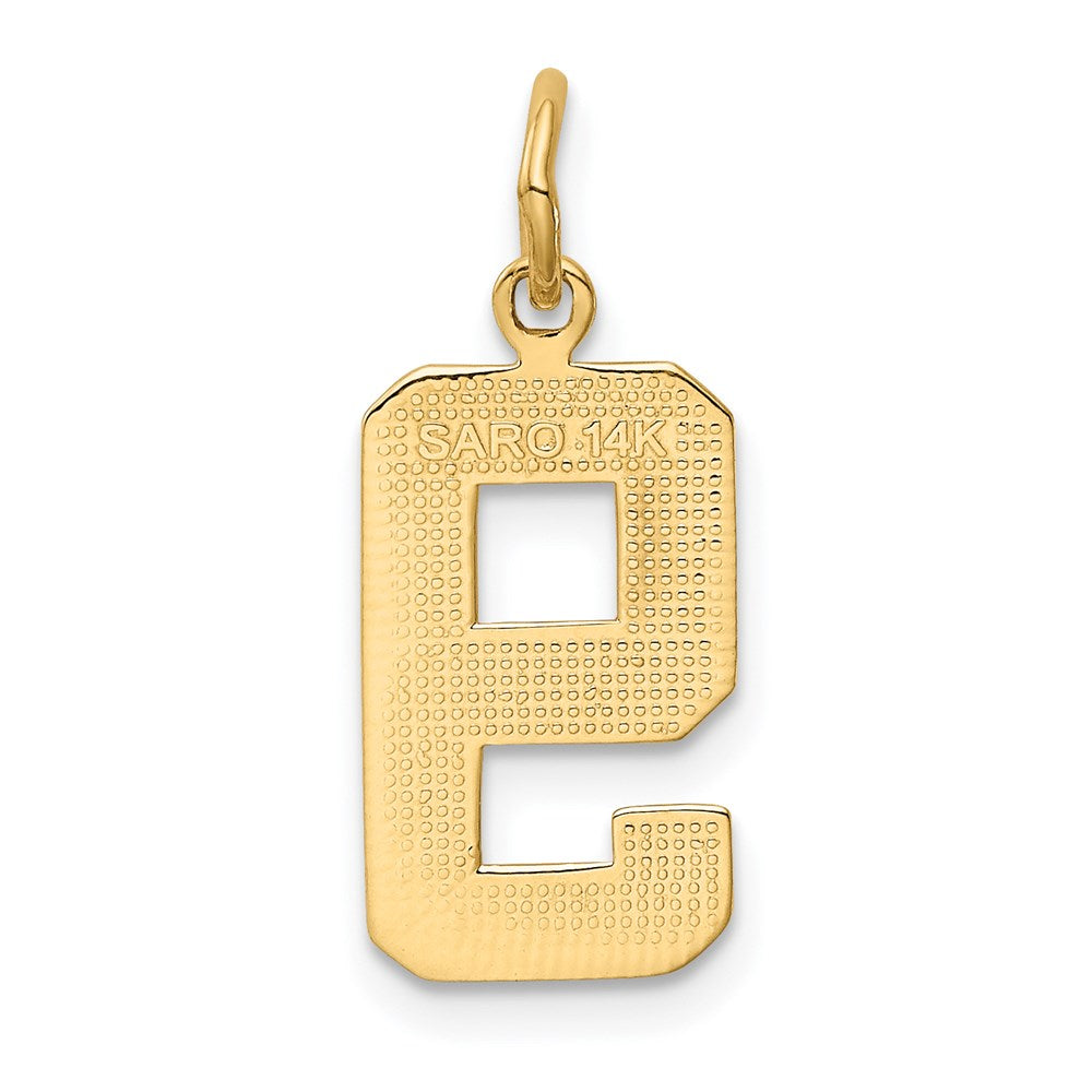 14k Medium Polished Number 9 Charm