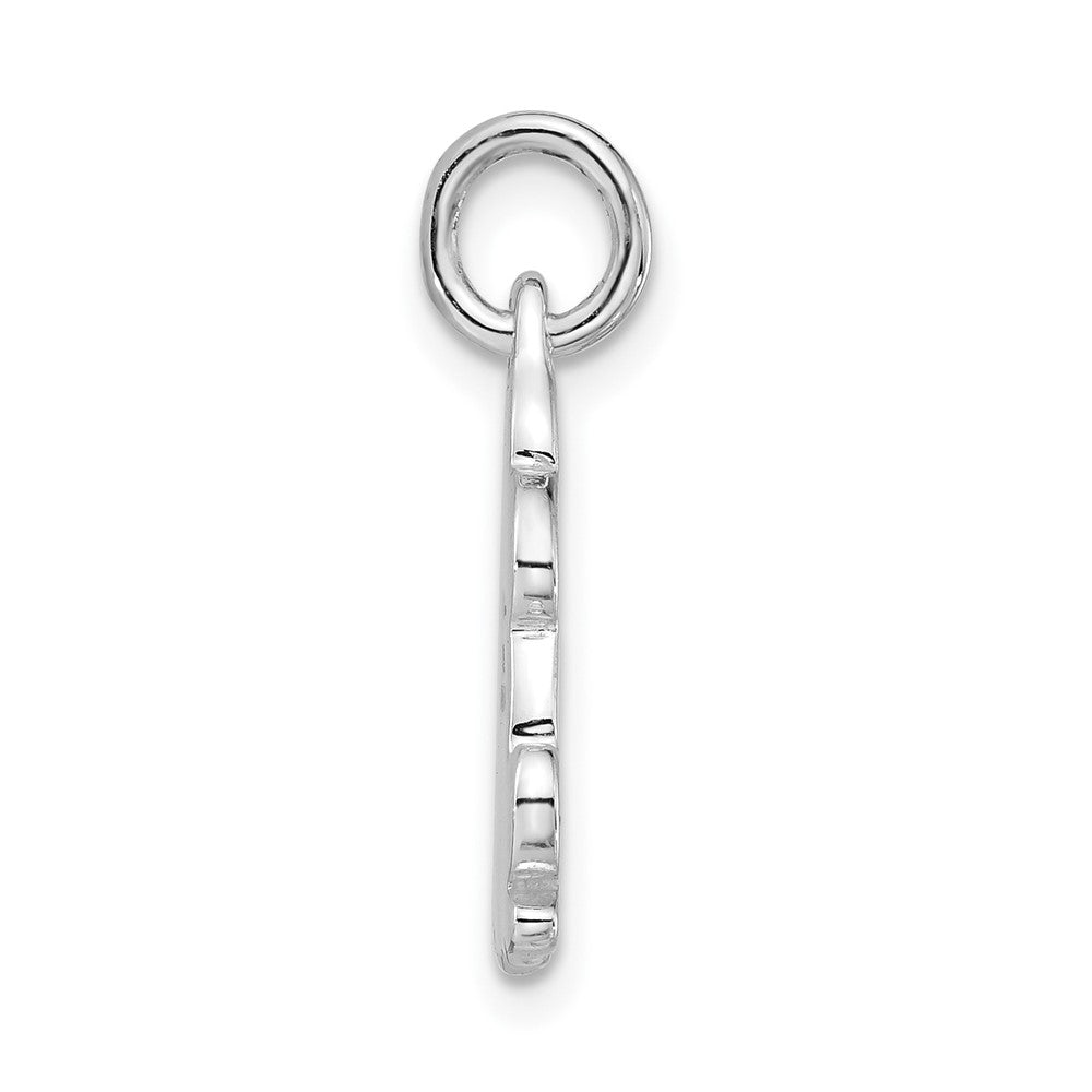 Sterling Silver Polished Multicolor Enameled Frog Charm