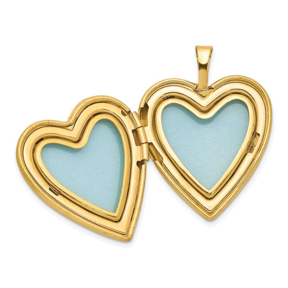 1/20 Gold Filled & White Rhodium Satin Butterfly 19mm Heart Locket