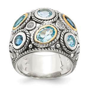 Descriptive image text