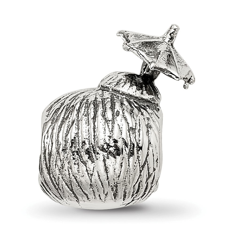 Sterling Silver Reflections Coconut Drink Bead