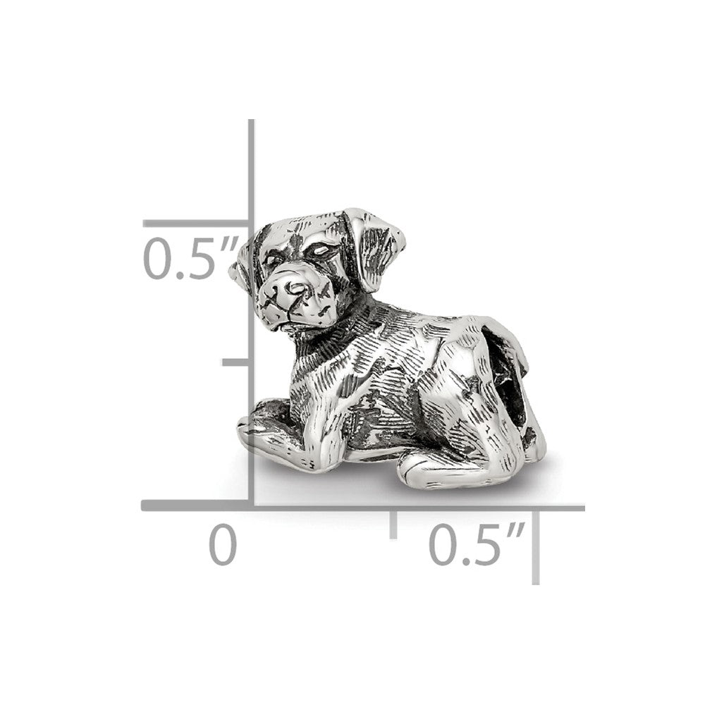 Sterling Silver Reflections Labrador Retriever Bead
