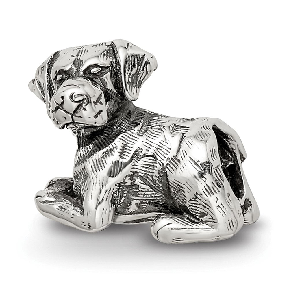 Sterling Silver Reflections Labrador Retriever Bead